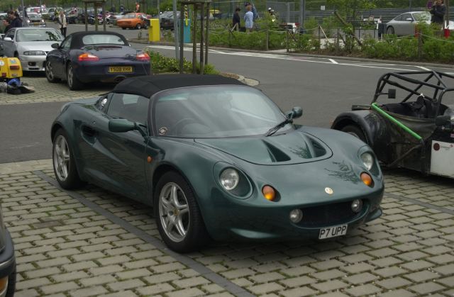 P7 Elise.JPG